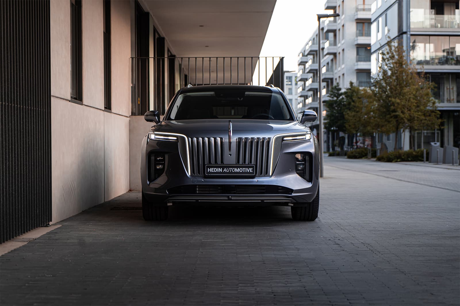 2026 Hongqi E-HS9: 544 hp, 515 km WLTP, From NIS 499,000 in Israel - View 2